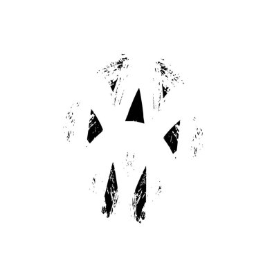 Soyut siyah ve beyaz grunge monokrom arkaplanı