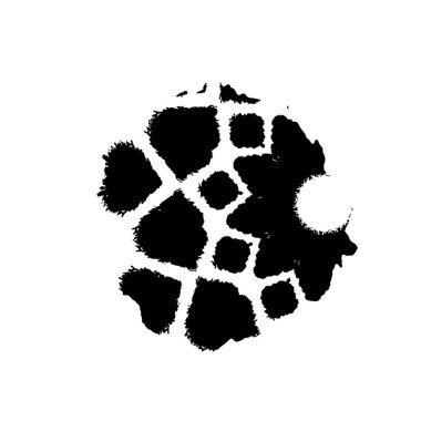 soyut arkaplan, siyah ve beyaz doku 