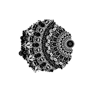 soyut arkaplan, siyah ve beyaz doku 