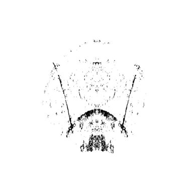 Beyaz arkaplanda soyut grunge siyah nokta izole