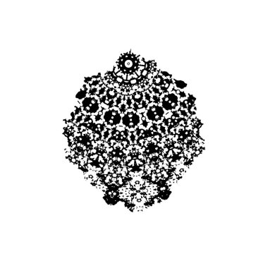 vektör el çizimi çiçek illüstrasyonu.