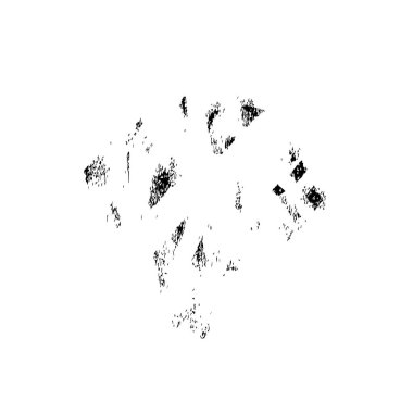 Beyaz arkaplanda siyah vektör fırça darbesi.