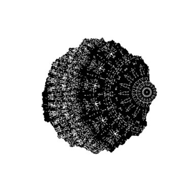 Soyut siyah beyaz izole edilmiş arka plan. vektör illüstrasyonu