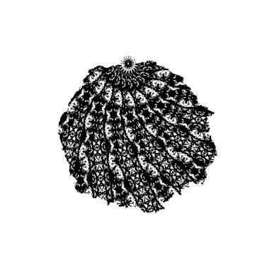 El yapımı kaktüs. vektör illüstrasyonu