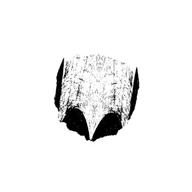 Vektör fırça darbeleri. grunge mürekkep fırça darbeleri.