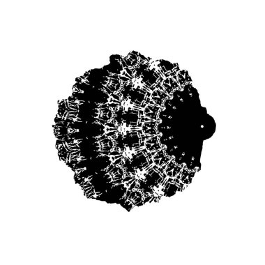 soyut siyah beyaz arkaplan