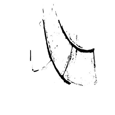 siyah ve beyaz vektör arkaplanı