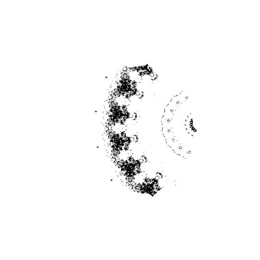 bir ağaç dokusuna sahip siyah beyaz arkaplan