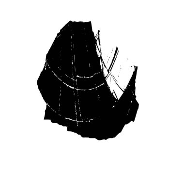 Deniz kabuğunun vektör el çizimi