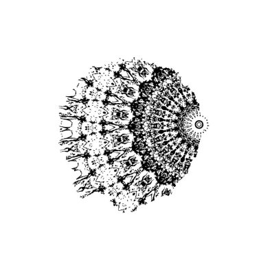 El çizimi deniz balığı.