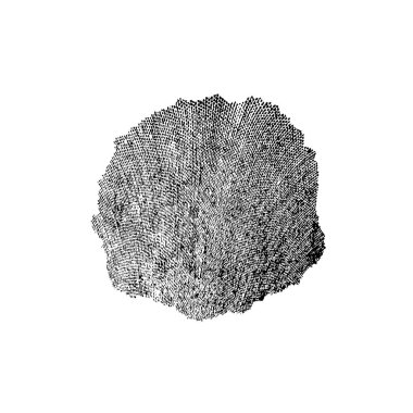 beyaz arkaplanda siyah mürekkep fırçası darbeleri 