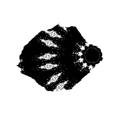 Soyut arkaplan. Monokrom dokusu. Siyah ve beyaz desenli arkaplan. 