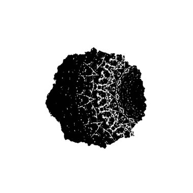 Soyut arkaplan. Monokrom dokusu. Siyah ve beyaz desenli arkaplan. 