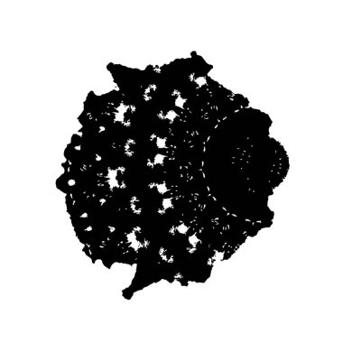 siyah ve beyaz grunge yaratıcı arka plan