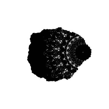 Soyut tek renkli arkaplan. Siyah ve beyaz vektör çizimi, desen  