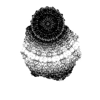 Soyut tek renkli arkaplan. Siyah ve beyaz vektör çizimi, desen  