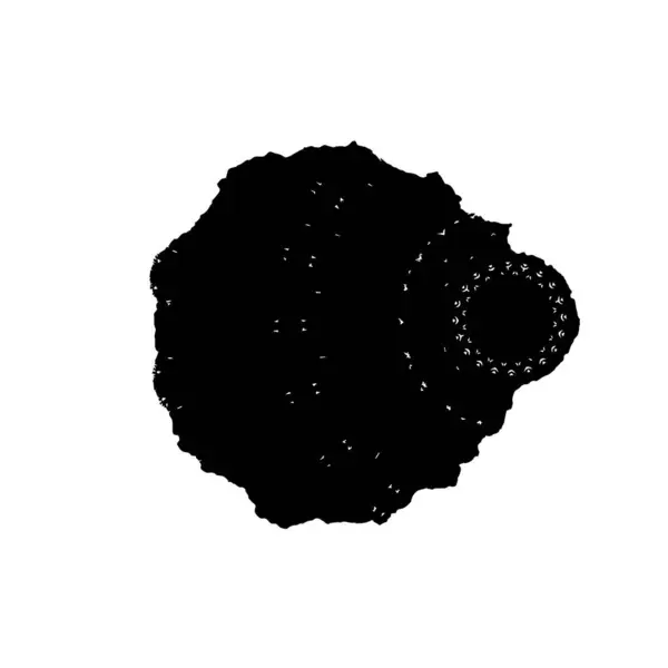 Schwarz Weiß Vektor Handbemalte Aquarellfarbe — Stockvektor