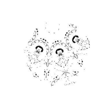 soyut yaratıcı arkaplan, siyah ve beyaz doku  