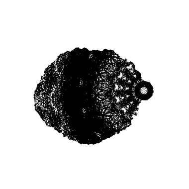 siyah ve beyaz monokrom arkaplan soyut doku 