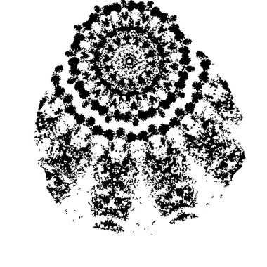 siyah ve beyaz monokrom arkaplan soyut doku 