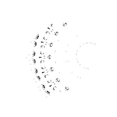 siyah ve beyaz monokrom arkaplan soyut doku 