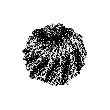  Soyut doku, siyah beyaz arkaplan. vektör illüstrasyonu   