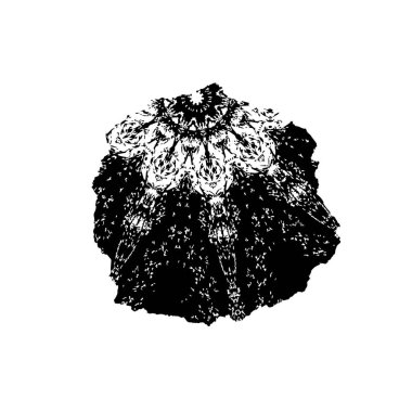  Soyut doku, siyah beyaz arkaplan. vektör illüstrasyonu   