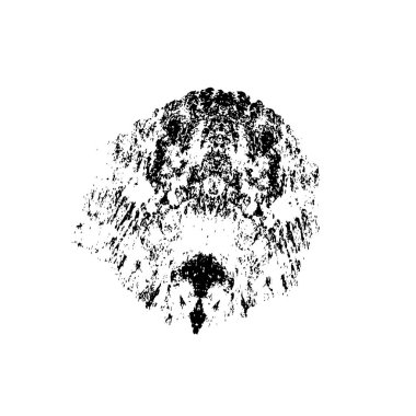 Grunge siyah fırça darbesi. el çizimi mürekkep