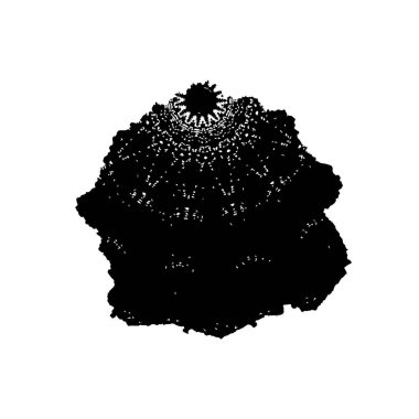 soyut siyah fırça darbesi ve dokusu