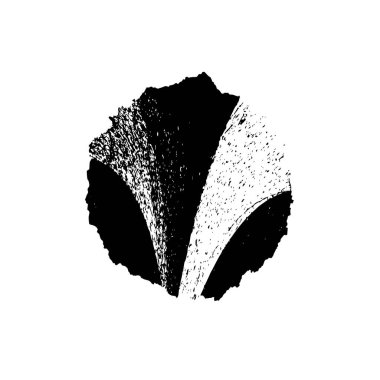 siyah fırça darbesi ve doku. vektör 