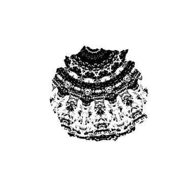 siyah fırça darbesi ve doku. vektör 