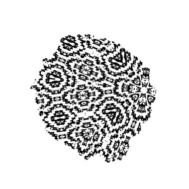 Düğün davetiyeleri, düğün davetiyeleri, kartlar, tebrik kartları, afişler için el çizimi çiçek süsü.