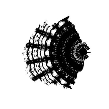 grunge fırça darbesi vektör arkaplanı