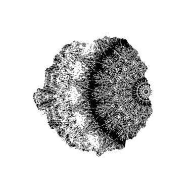 Siyah ve beyaz daireli soyut arkaplan