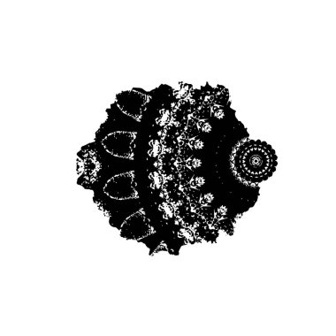 soyut siyah mürekkep fırçası vuruşu arkaplanı