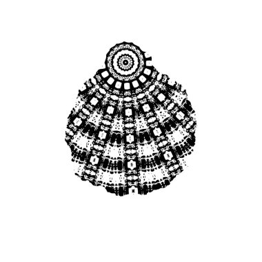 El çizimi deniz kabuğu çizimi. vektör illüstrasyonu