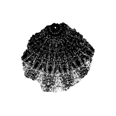 grunge siyah mürekkep şekli arkaplanı