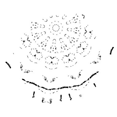 vektör el çizimi resimleme
