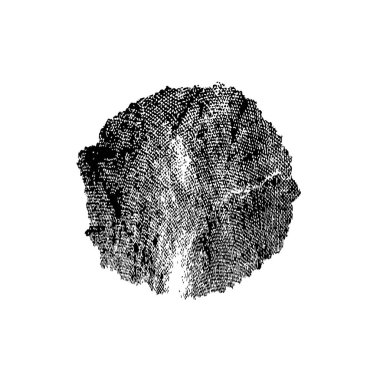 siyah beyaz el - bir kalemin çizilmiş dokusu