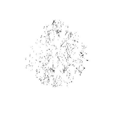 beyaz arkaplanda izole edilmiş siyah fırça darbesinin grunge dokusu 