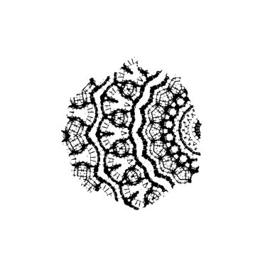 soyut el çizimi karalama çiçeği beyaz bir arkaplanda izole.