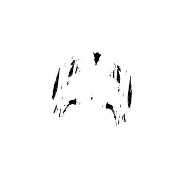 grunge fırça darbesi vektör çizimi  