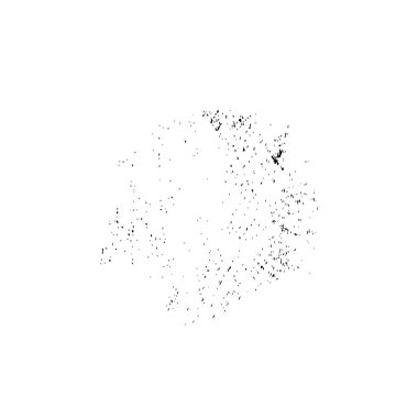 grunge fırça darbesi vektör çizimi  