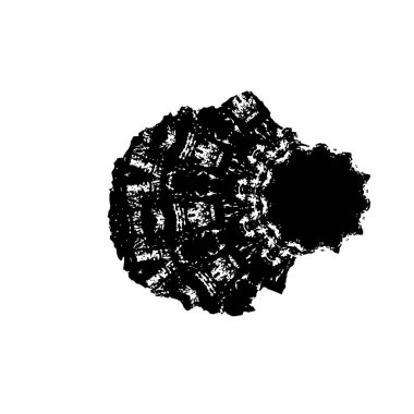 siyah ve beyaz desenli, soyut arkaplan