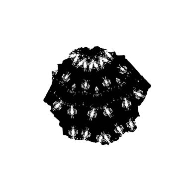 siyah ve beyaz desenli, soyut arkaplan