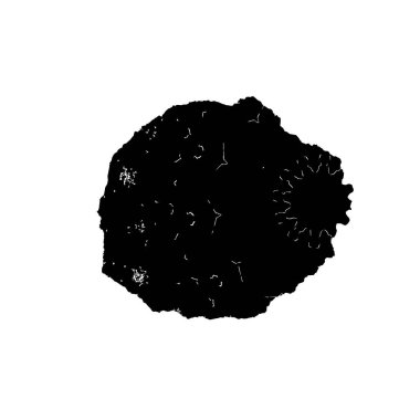 beyaz arkaplanda siyah mürekkep fırçası darbeleri 