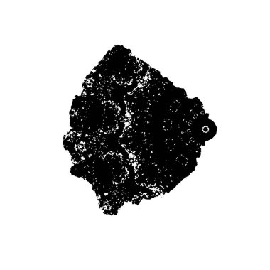 Ağ grunge mürekkebi sıçrama vuruşu