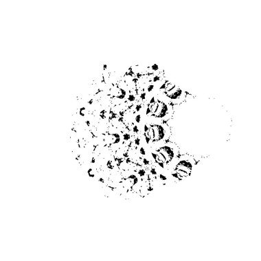 beyaz arkaplanda siyah mürekkep fırçası darbeleri 