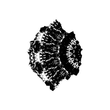 Yuvarlak kabile süsü, vektör illüstrasyon tasarımı