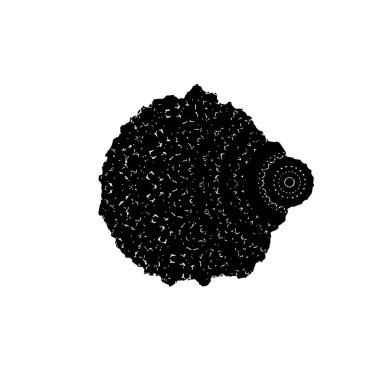 Yuvarlak kabile süsü, vektör illüstrasyon tasarımı